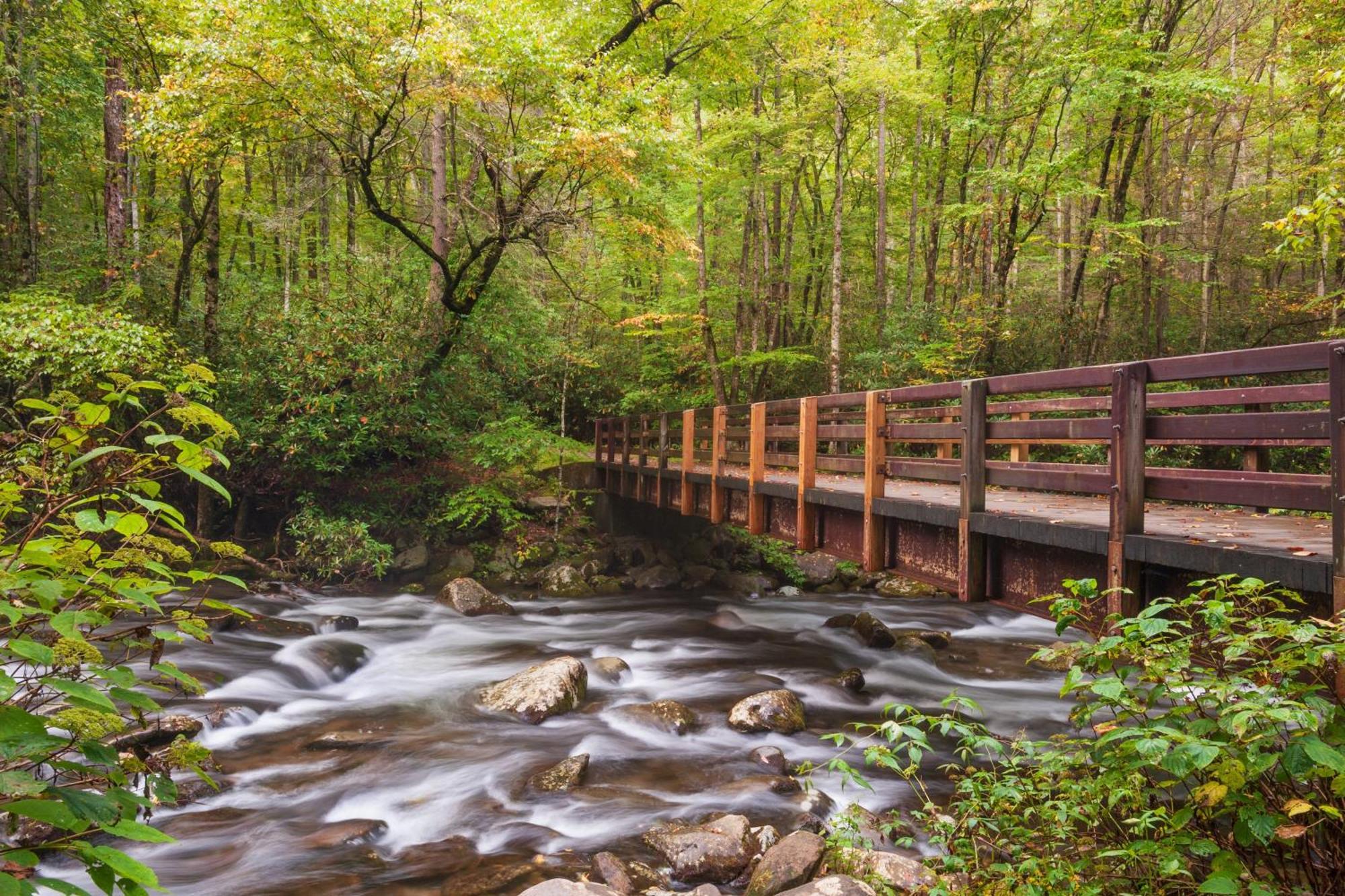 The Nut House, Hot Tub, Game Room, Wifi, 1089 Free Tickets Each Paid Day, Dollywood And More! Pigeon Forge Kültér fotó
